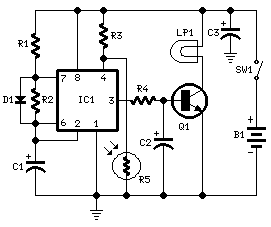 Nocturnal Animals Whisker-Circuit diagram